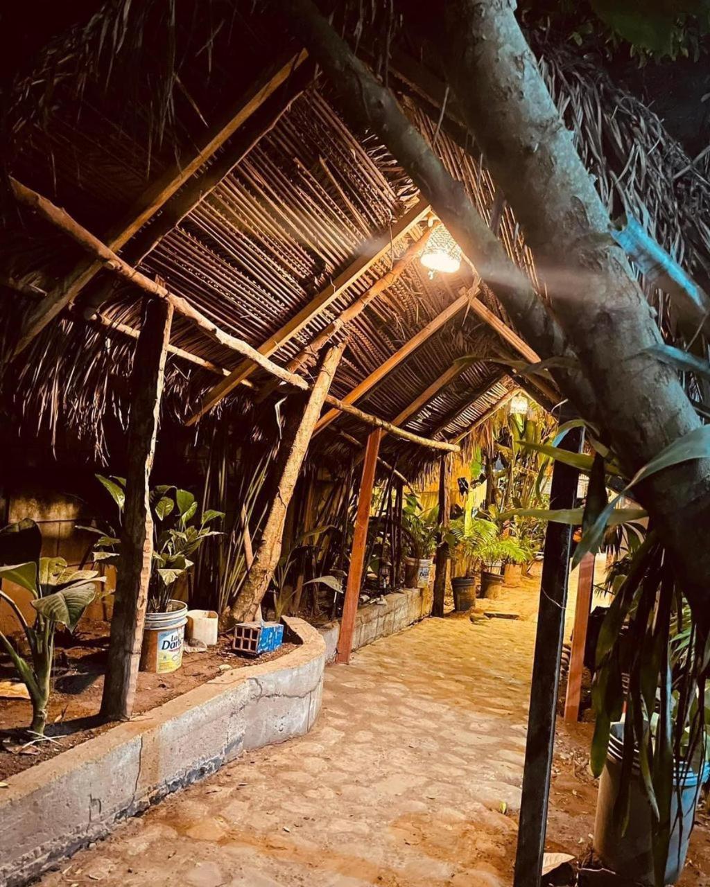 Hospedaje Ecologico Purma Wasi Tarapoto Exteriör bild